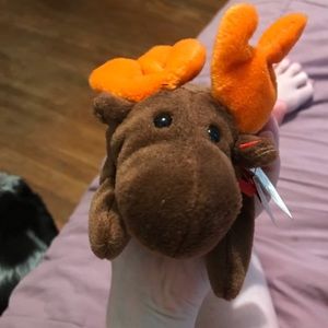 Chocolate moose beanie baby